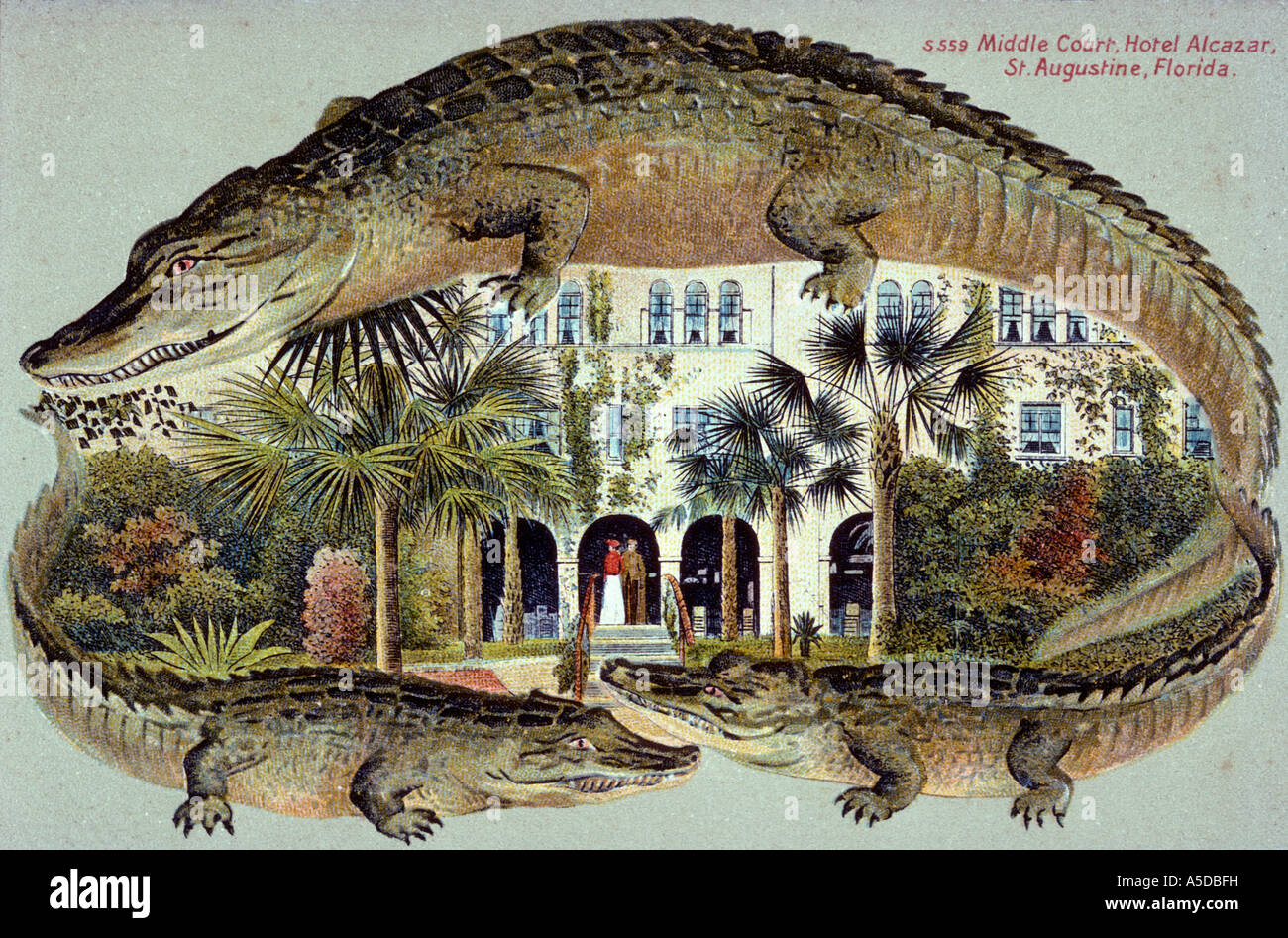 Carte postale ancienne la Floride avec les alligators de l'hôtel Banque D'Images