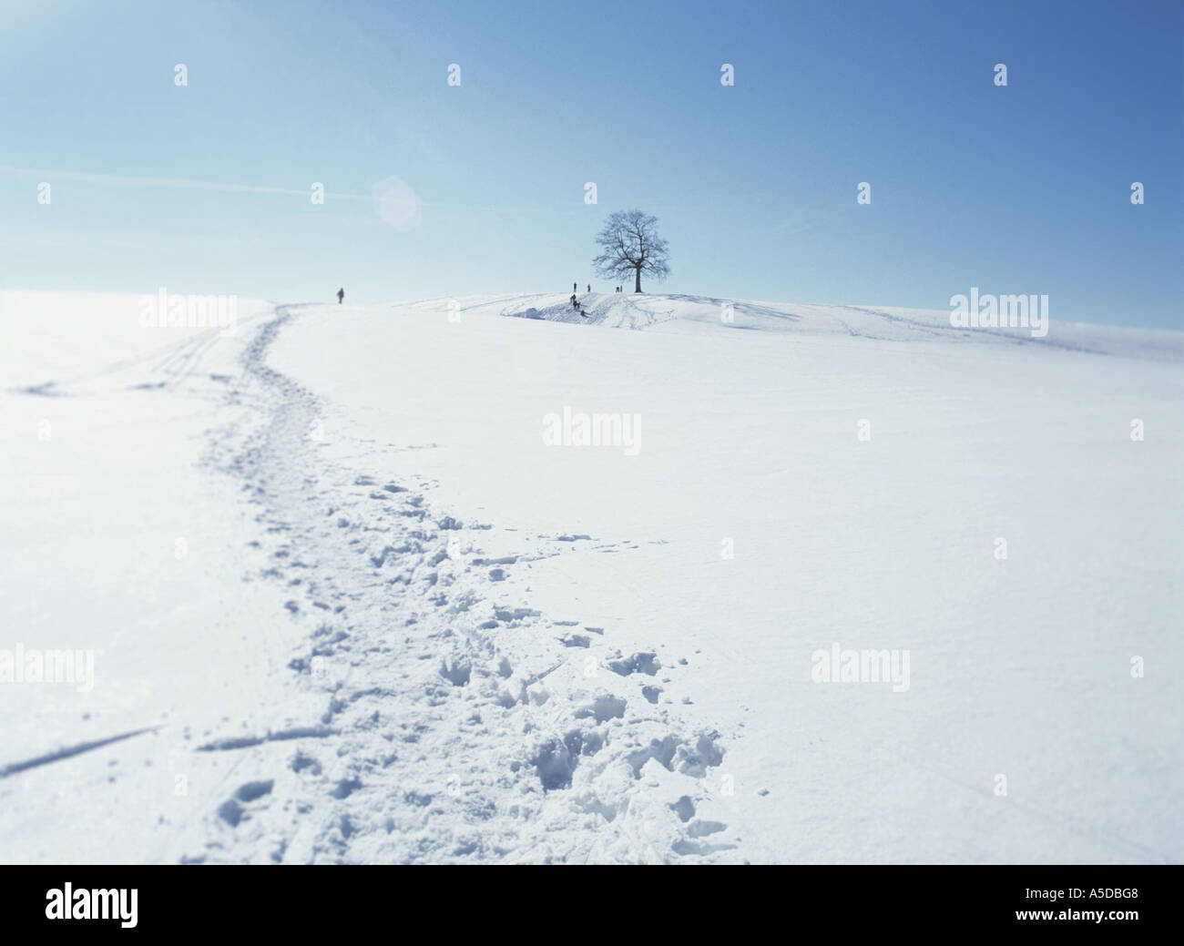Allemagne, paysage d'hiver Banque D'Images