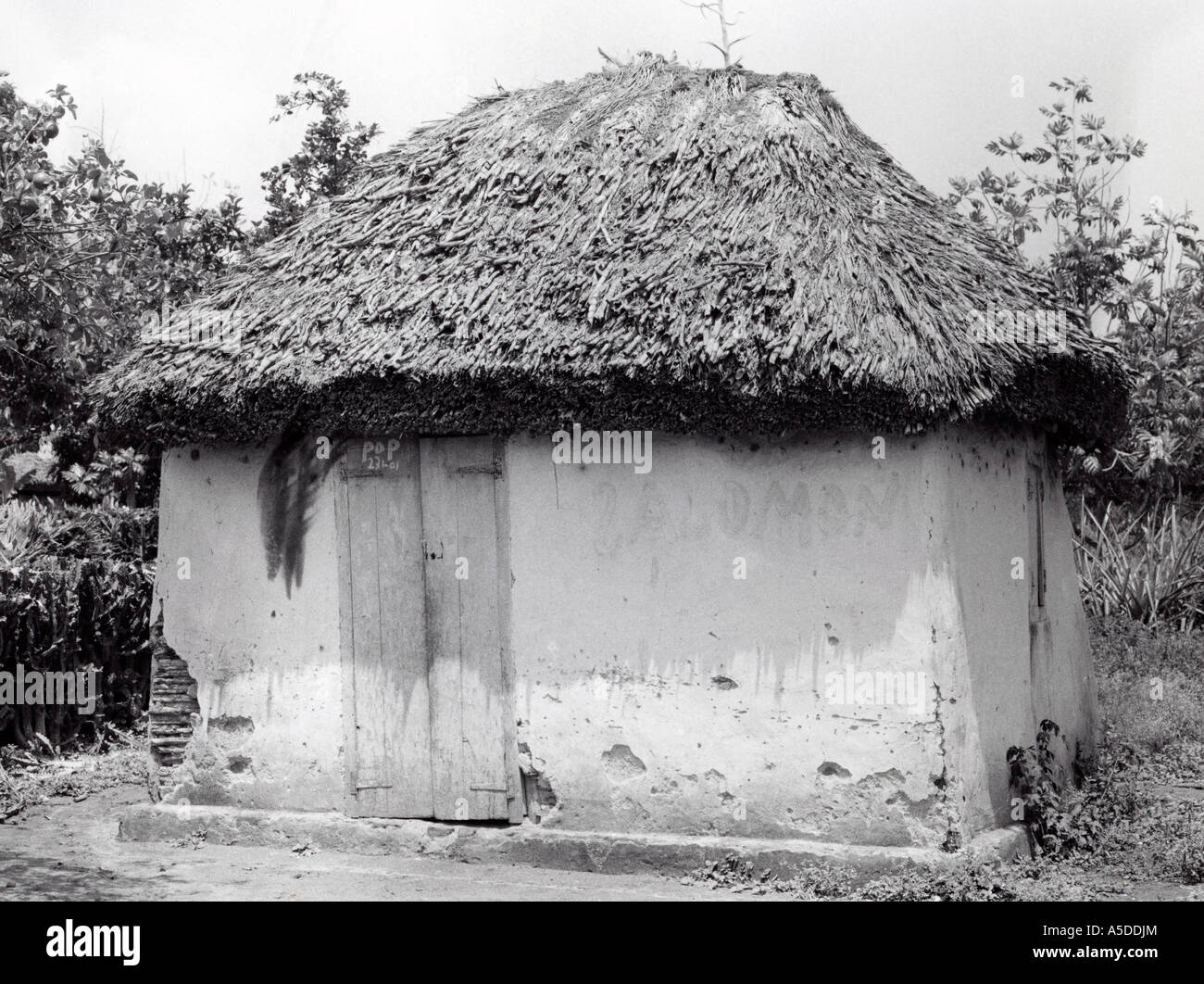 Les Indiens maya typique dans la campagne du Yucatan Mexique Banque D'Images