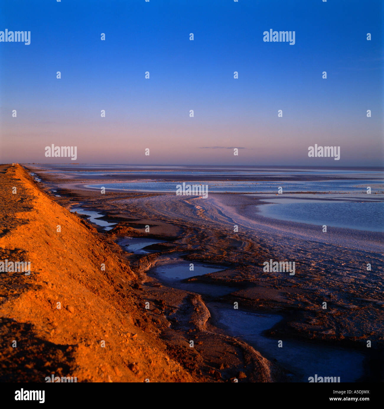 Chott el Djerid Tunisie Endorheic Salt Lake plus grande casserole de sel du désert du Sahara au coucher du soleil Banque D'Images