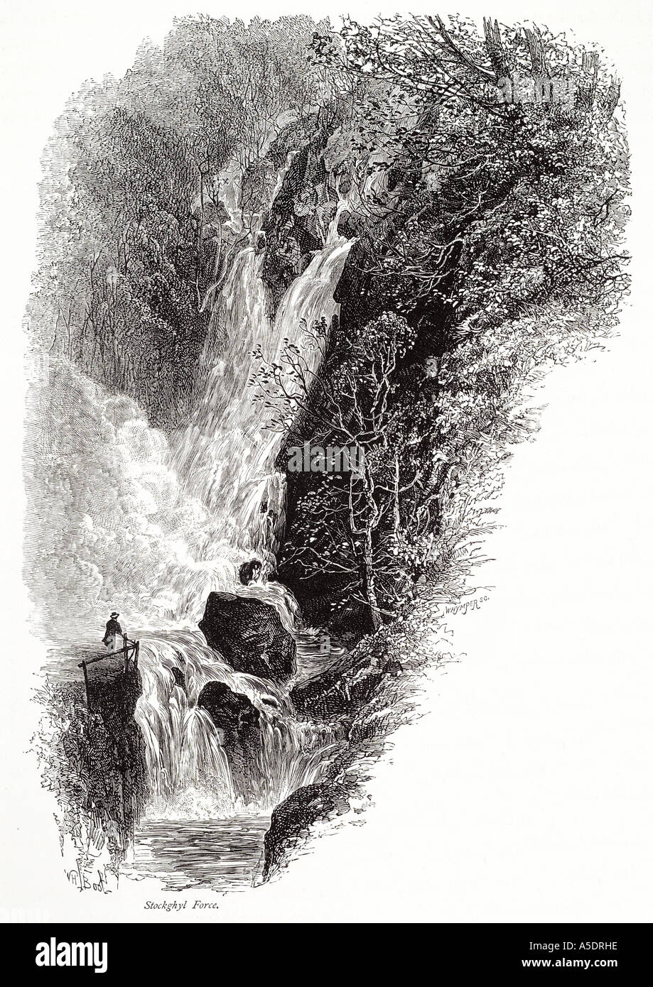 La force de l'eau chute d'stockghyl cascade de la vallée de la rivière boulder rock tree Cumbria lake district national park UK GB Angleterre Anglais Banque D'Images