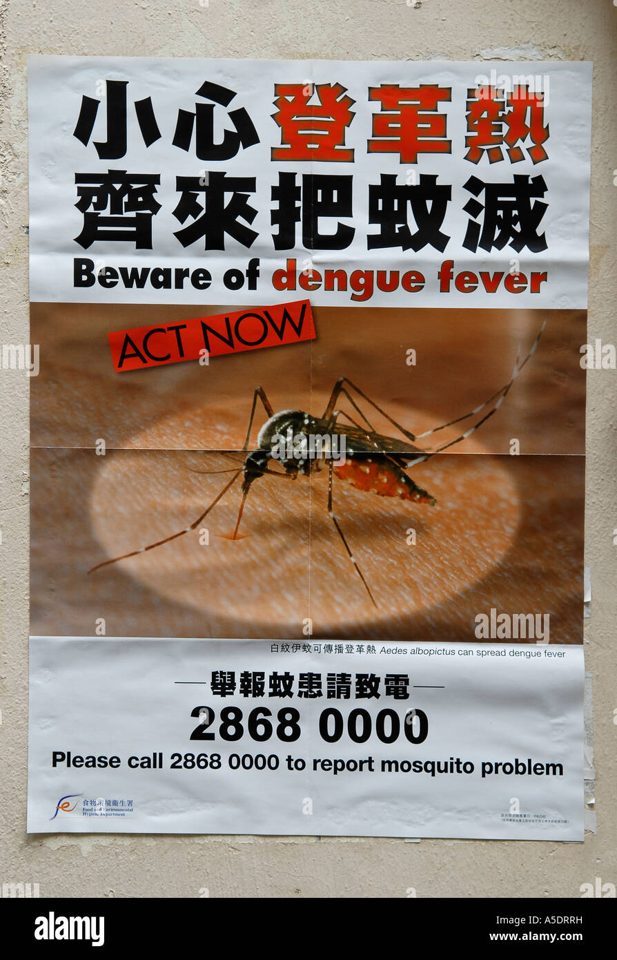Avis d'alerte de la fièvre dengue à Hong Kong, Chine Banque D'Images