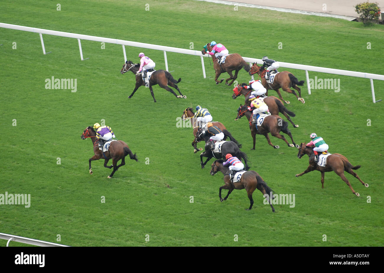 Les courses de chevaux à l'hippodrome de Sha Tin à Hong Kong situé à Sha Tin dans les Nouveaux Territoires. Chine Banque D'Images