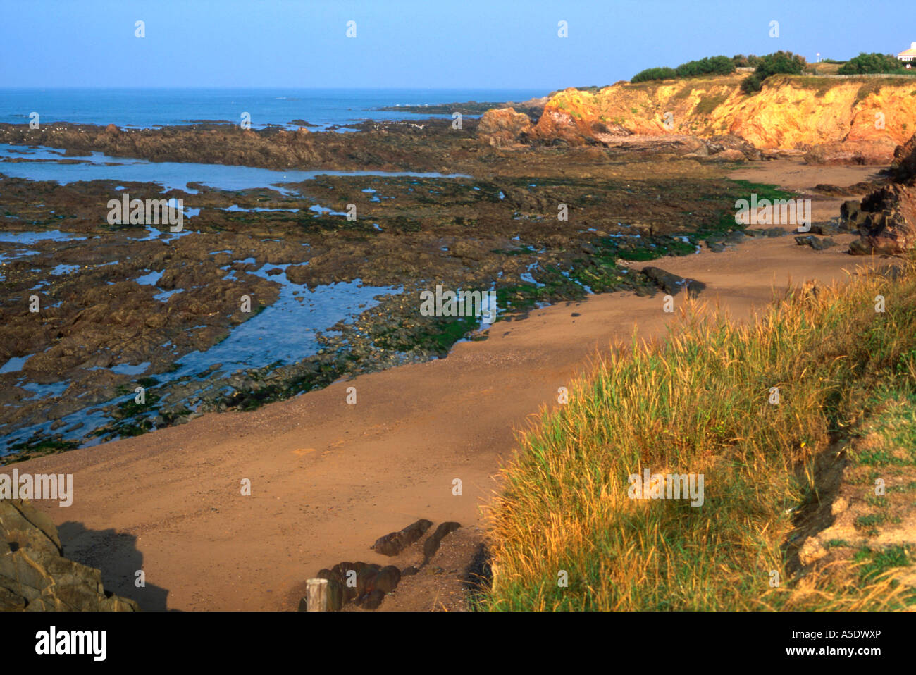 Ouest France Bretignolles Sur Mer