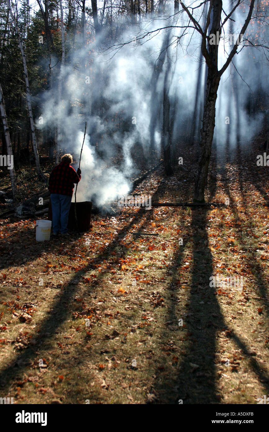 Ombres Fiery Gravure : un faible soleil projette des ombres sur le sol couvert de feuilles d'un incendie la fumée monte et crée plus d'ombre Banque D'Images