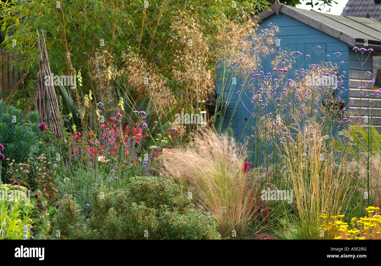 Un jardin de gravier sec au Royaume-Uni Banque D'Images