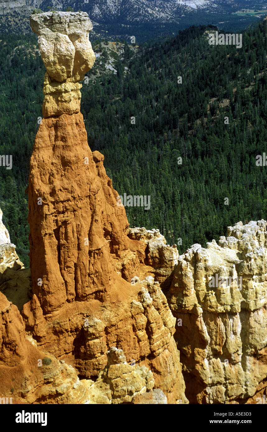 Pile de roche DEMOISELLE Bryce Canyon National Park Utah USA Banque D'Images