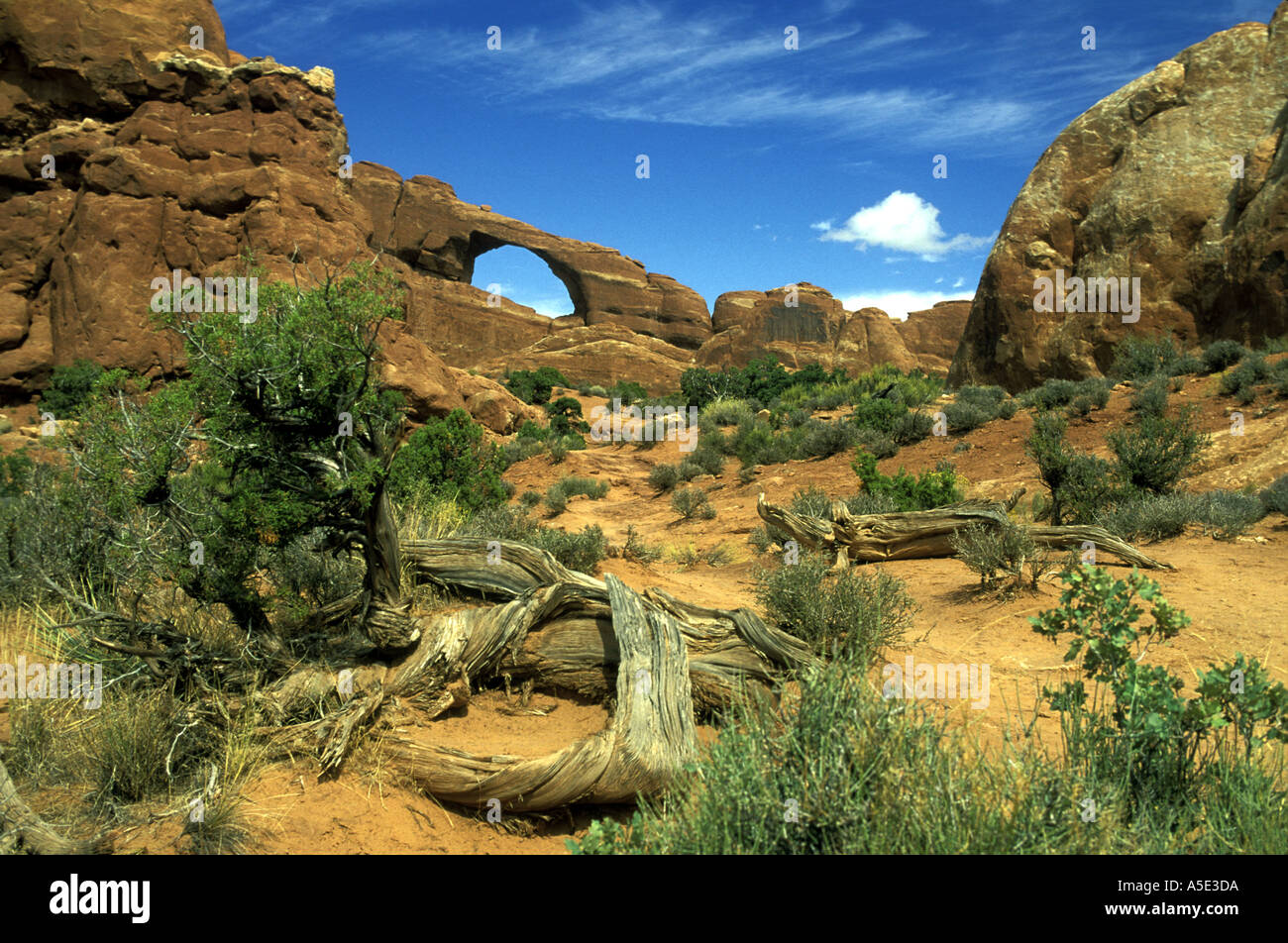 ARCH Arches National Park Utah USA Banque D'Images