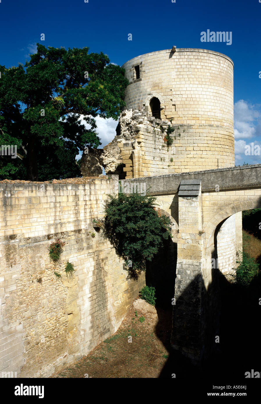 Chinon, Schloß, Blick auf das Château du Coudray Banque D'Images