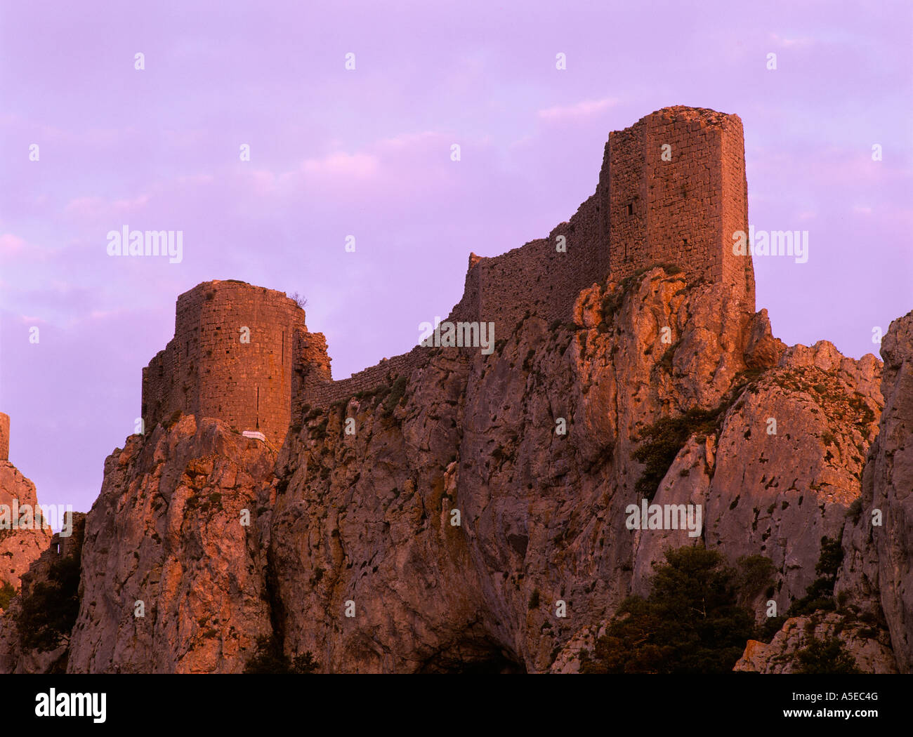 Le château de Peyrepertuse à l'aube Aude Pays Cathare Languedoc Roussillon France Banque D'Images