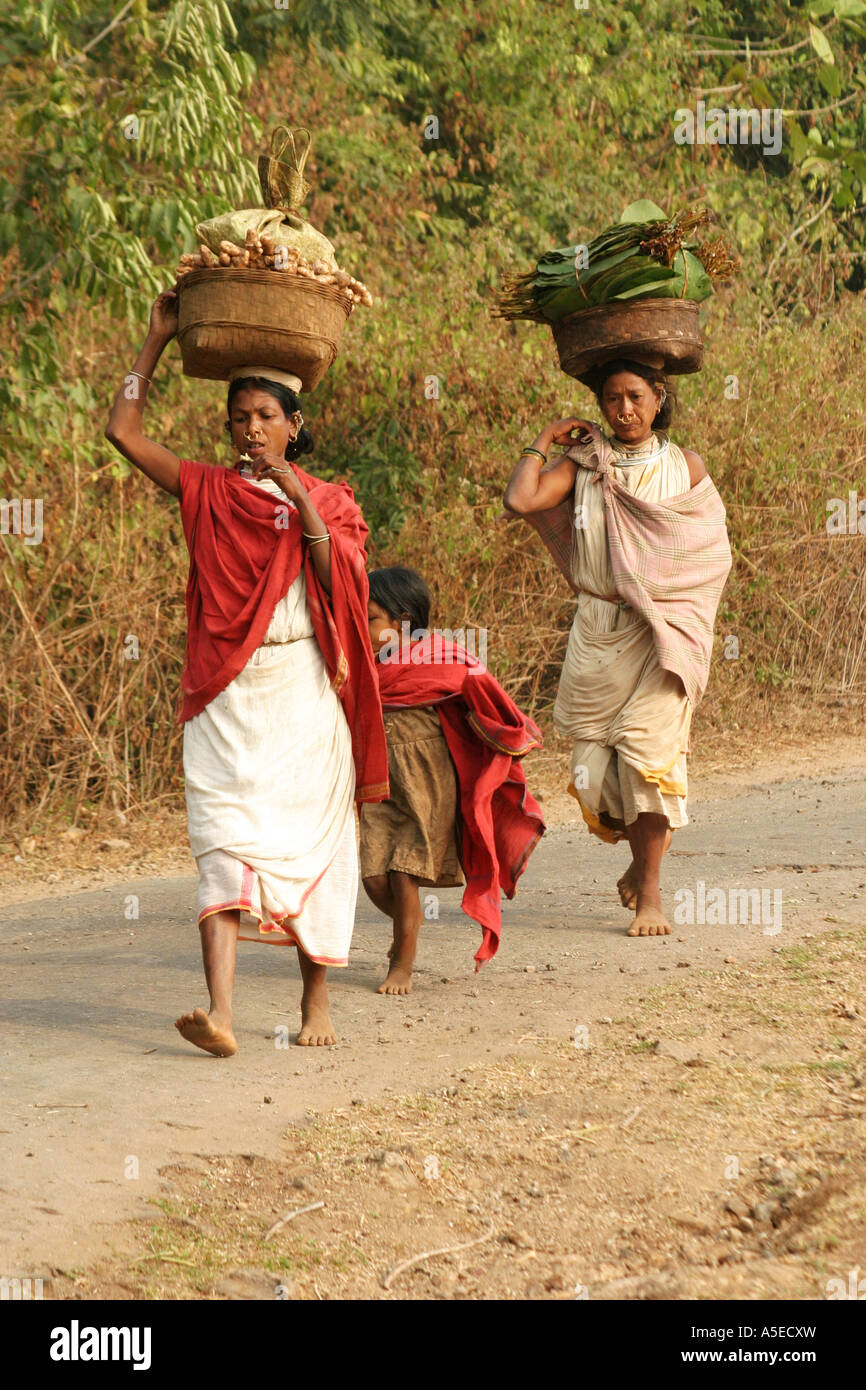 Dongria Kondh femmes tribales portant de lourdes charges sur leur chemin à l'hebdomadaire marché de troc, Orissa, Inde. Banque D'Images