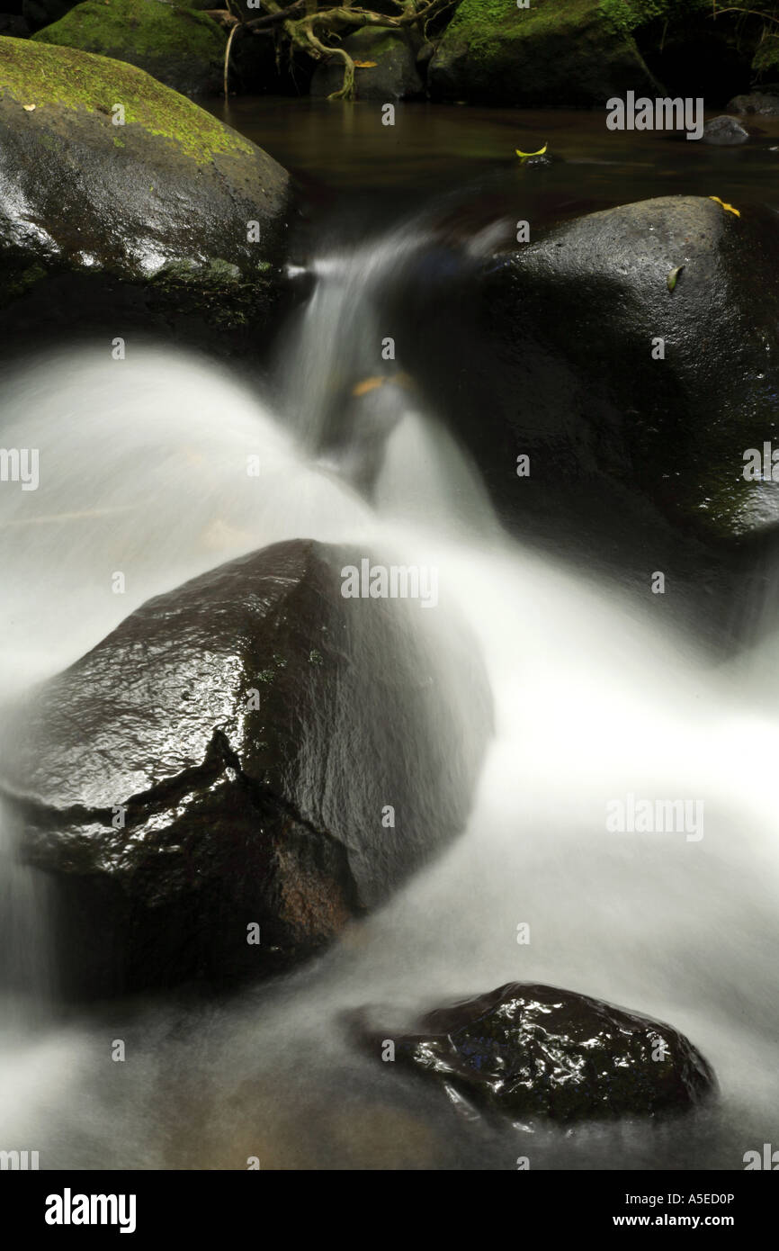 Ruisseau de montagne Banque D'Images