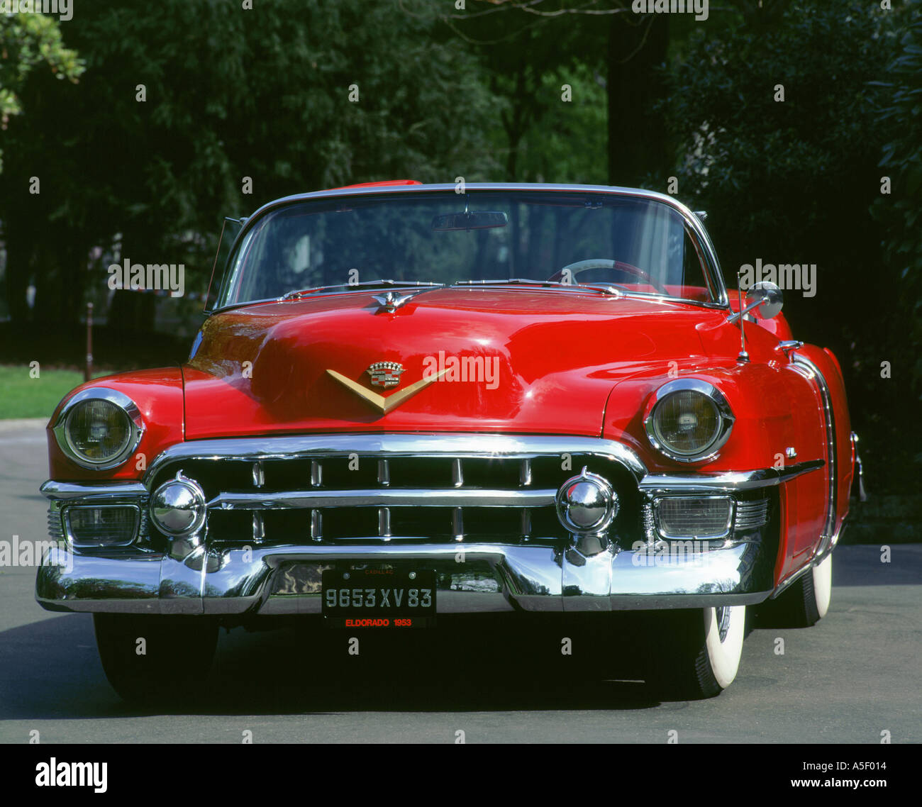 1953 Cadillac Eldorado Banque D'Images