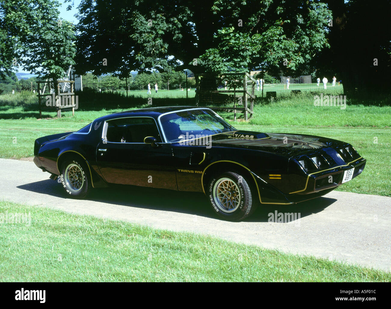 1979 Pontiac Firebird Trans Am Banque D'Images