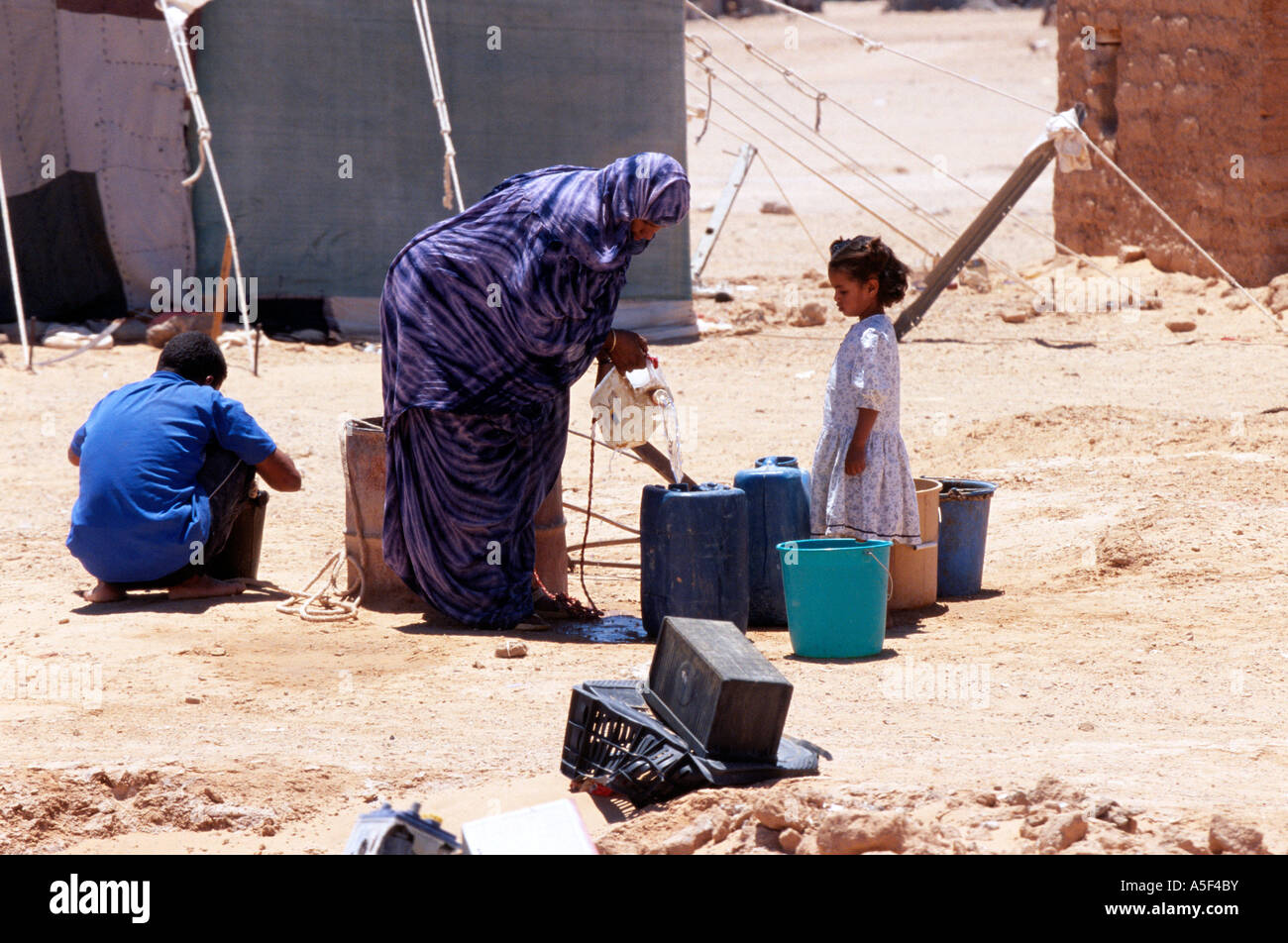 La collecte de l'eau de la famille, camp de réfugiés sahraouis de Tindouf, dans l'ouest de l'Algérie, Banque D'Images