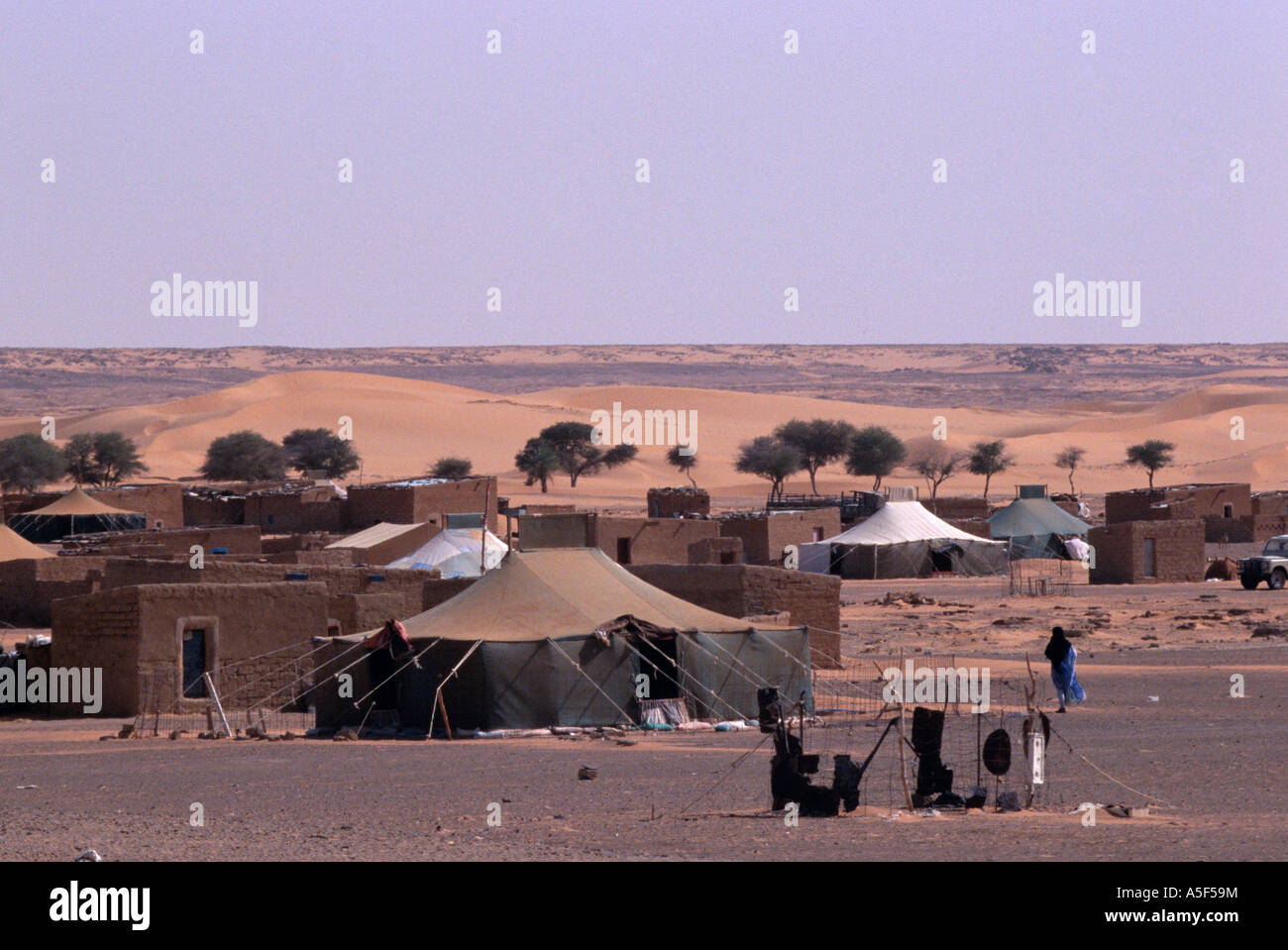 Camp de réfugiés sahraouis de Tindouf, dans l'ouest de l'Algérie, Banque D'Images