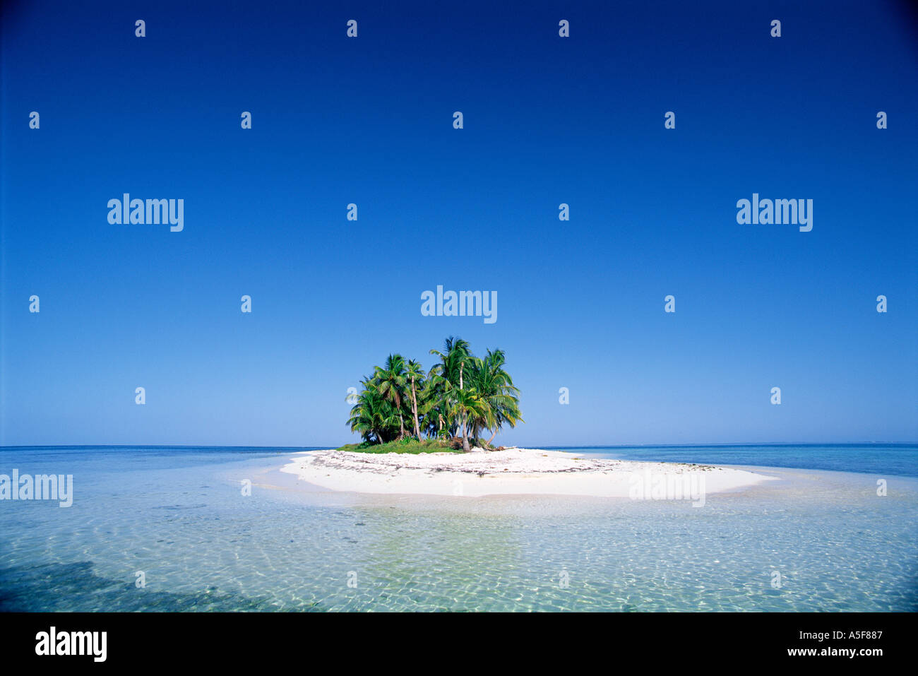 Petite île tropicale avec des palmiers à l'horizon au Belize Amérique centrale Caraïbes Banque D'Images