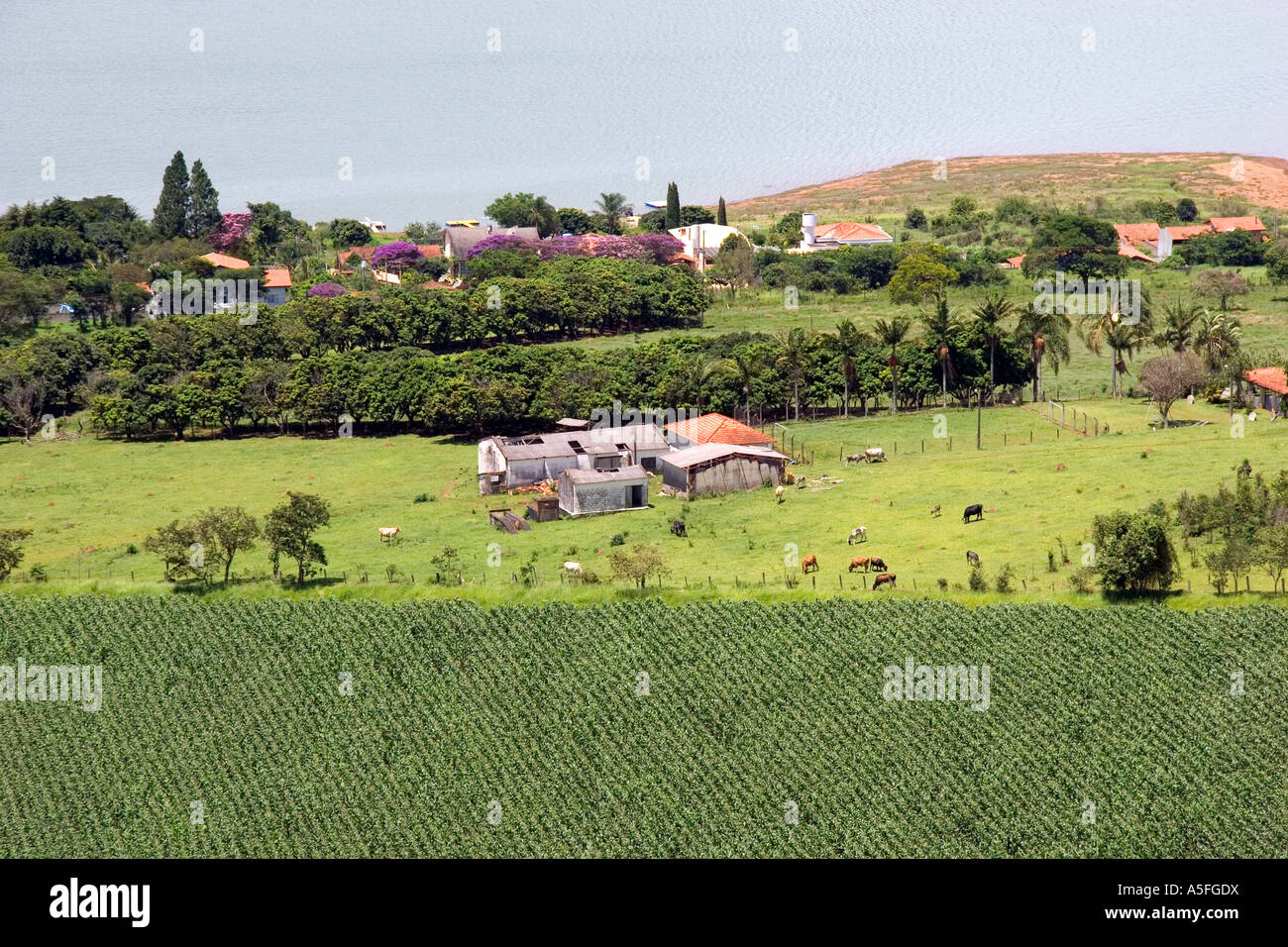 Petite ferme dans la campagne près de Sao Paulo, Brésil Banque D'Images