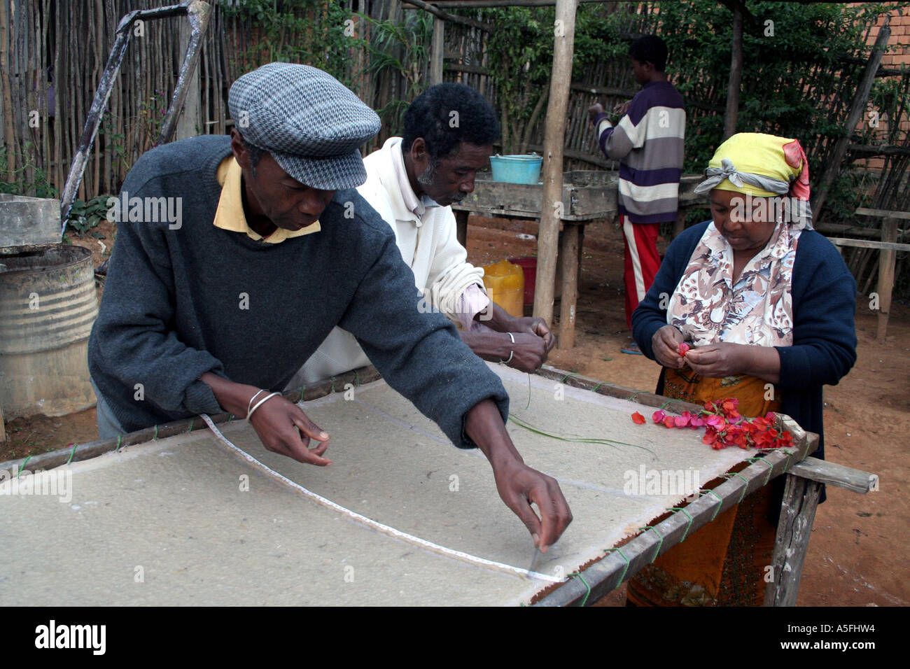 Fianarantsoa, Madagascar, entreprise de fabrication de papier fait main pressée fleur Banque D'Images