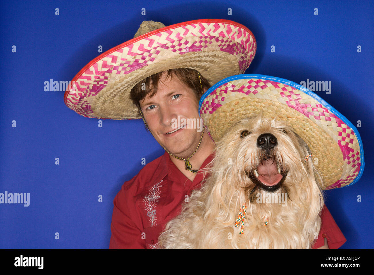 Chien Marron moelleux et caucasien homme jeune adulte portant des sombreros mexicains Banque D'Images