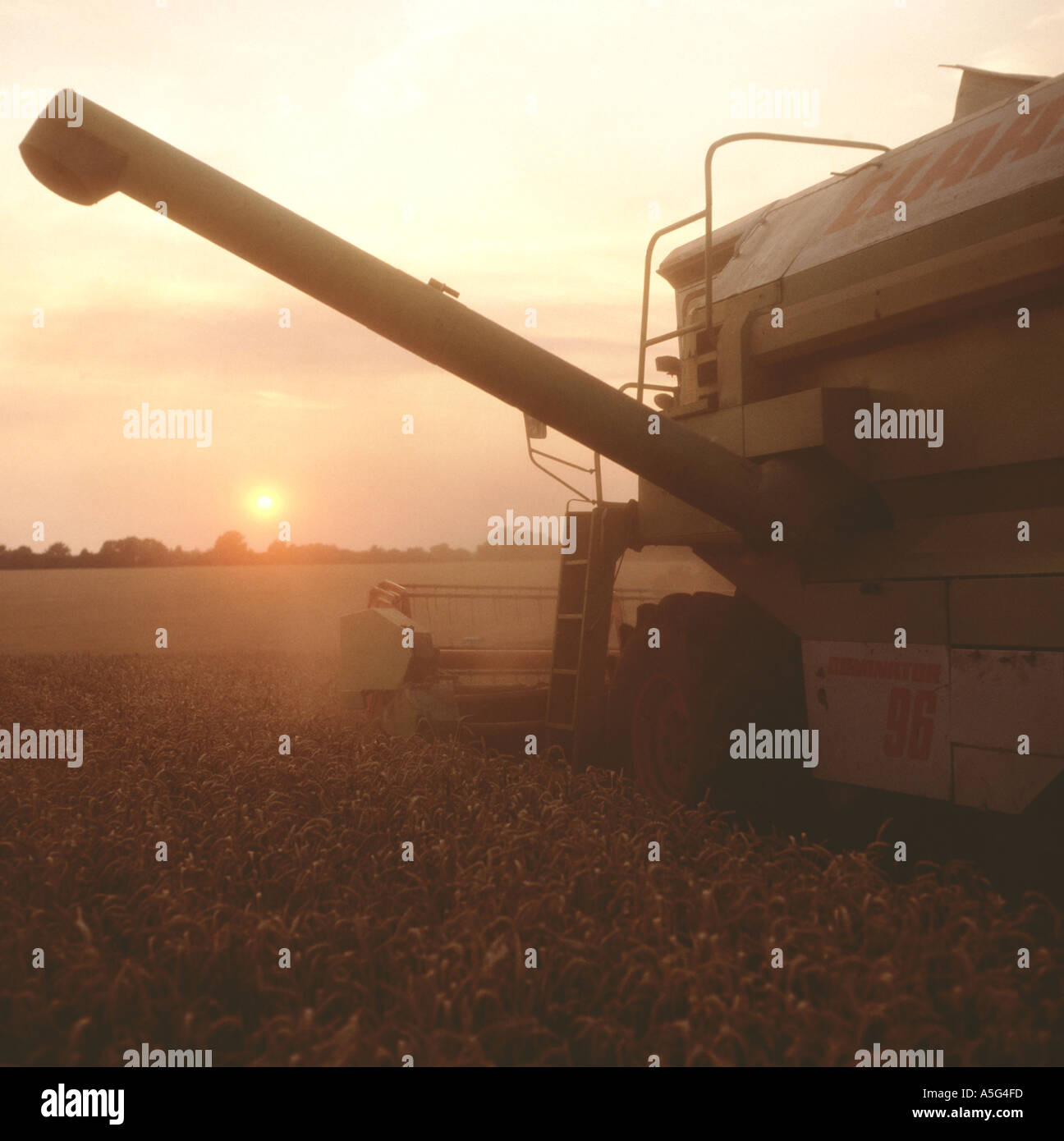 Combiner la récolte tard un soir d'été avec le soleil baigné dans la lumière orange, Berkshire Banque D'Images
