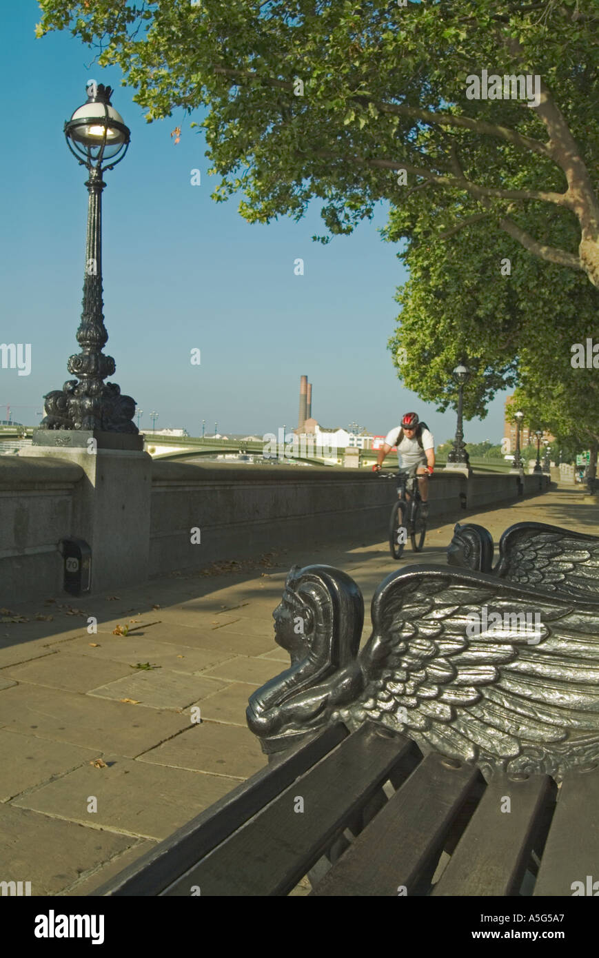 Tamise à Chelsea Embankment Londres Angleterre Royaume-uni Banque D'Images