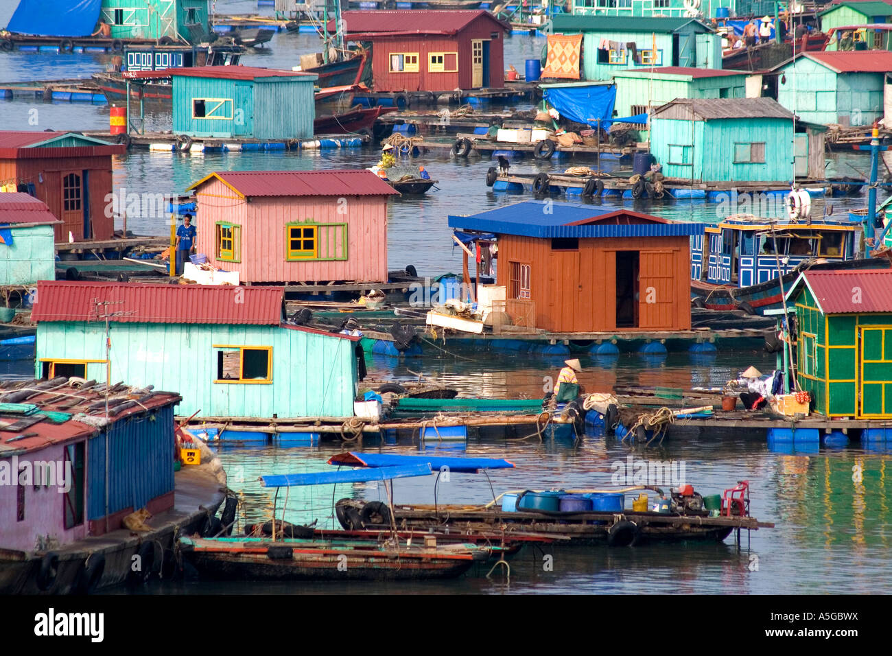 L'île de Catba village flottant de la Baie d'Halong Vietnam Banque D'Images