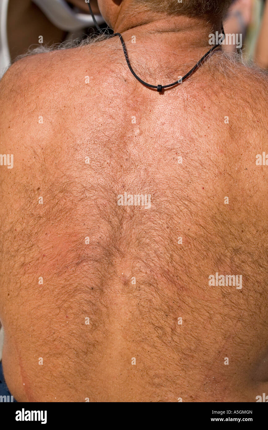 Homme poilu avec retour Photo Stock - Alamy