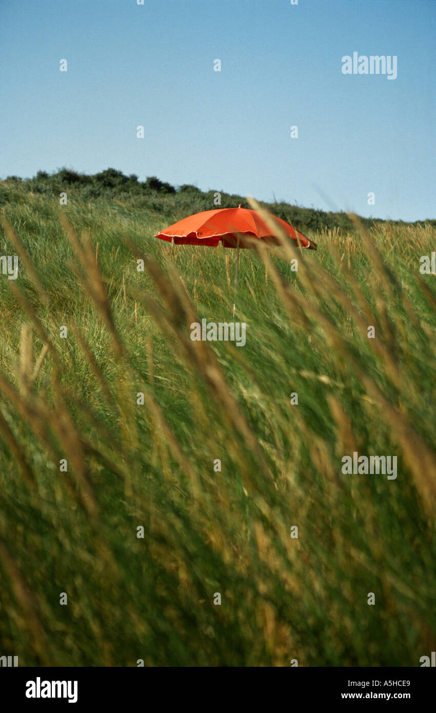Parapluie dans les dunes de sable Banque D'Images