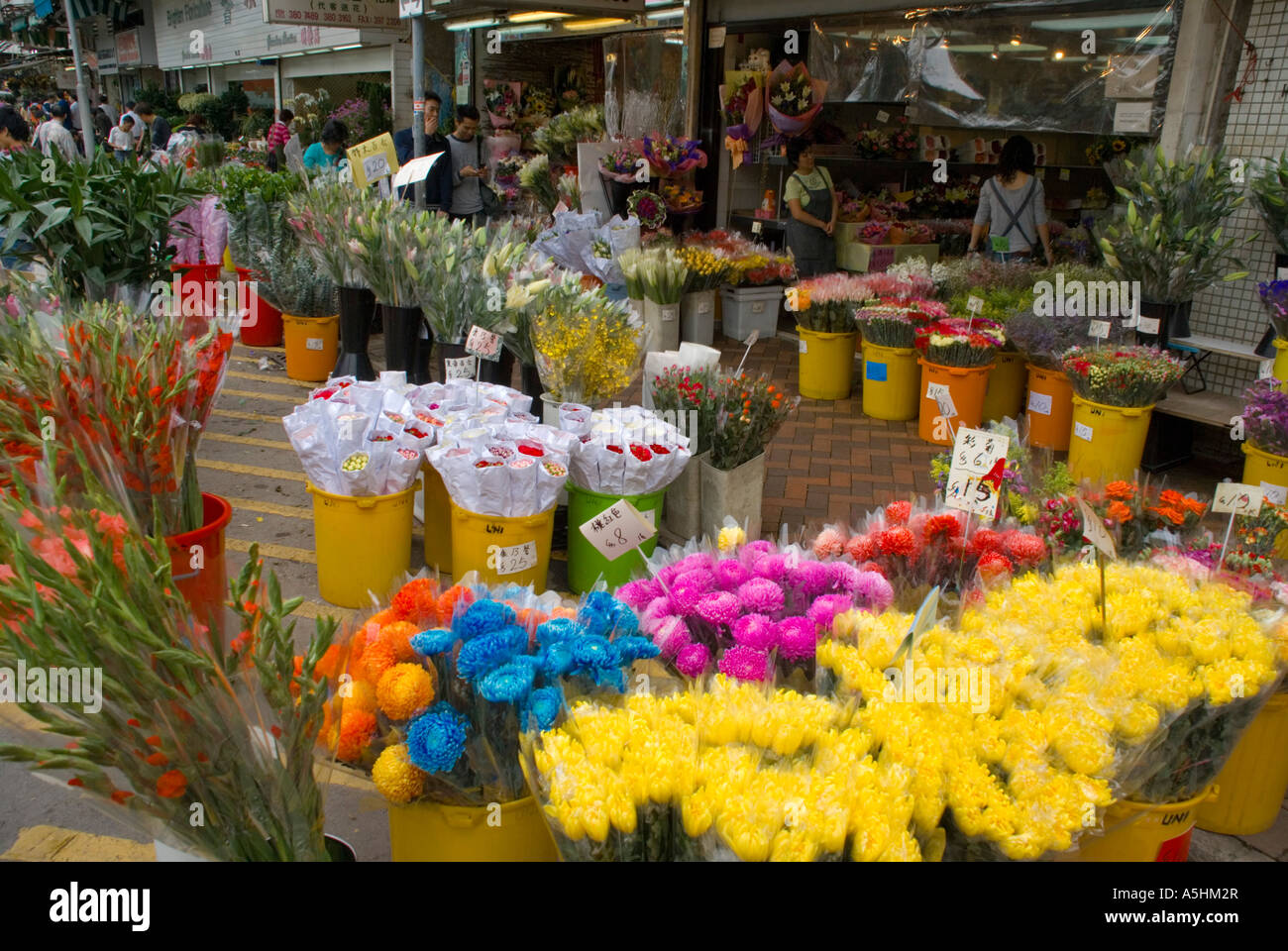 Asie Chine Hong Kong Kowloon Mongkok marché aux fleurs Banque D'Images