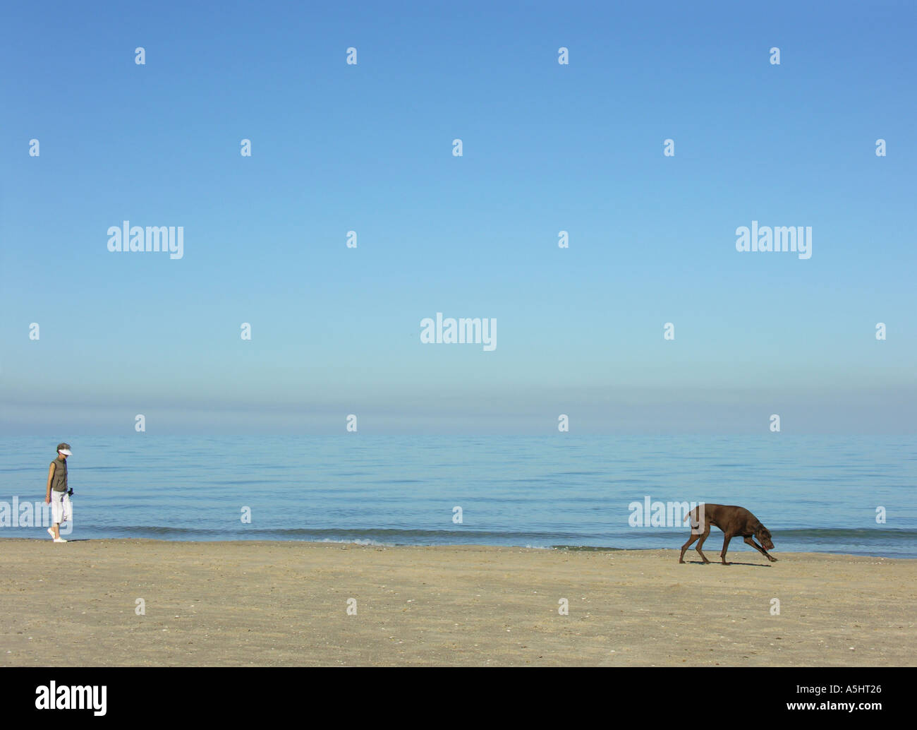 Une petite femme à la suite de grand chien Banque D'Images