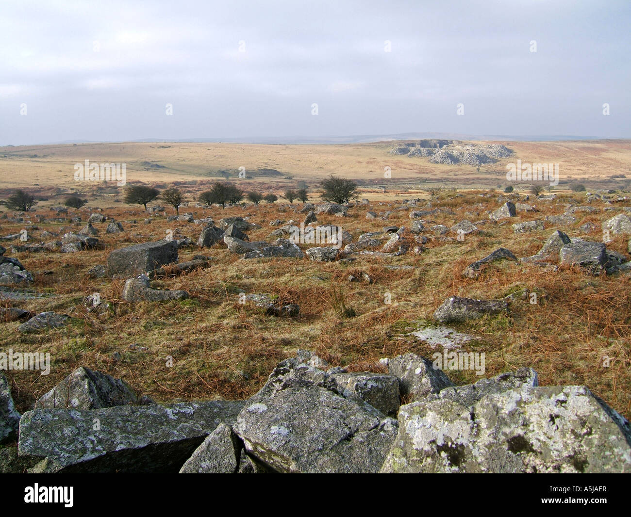 Bodmin Moor, Cornwall, England, UK Banque D'Images
