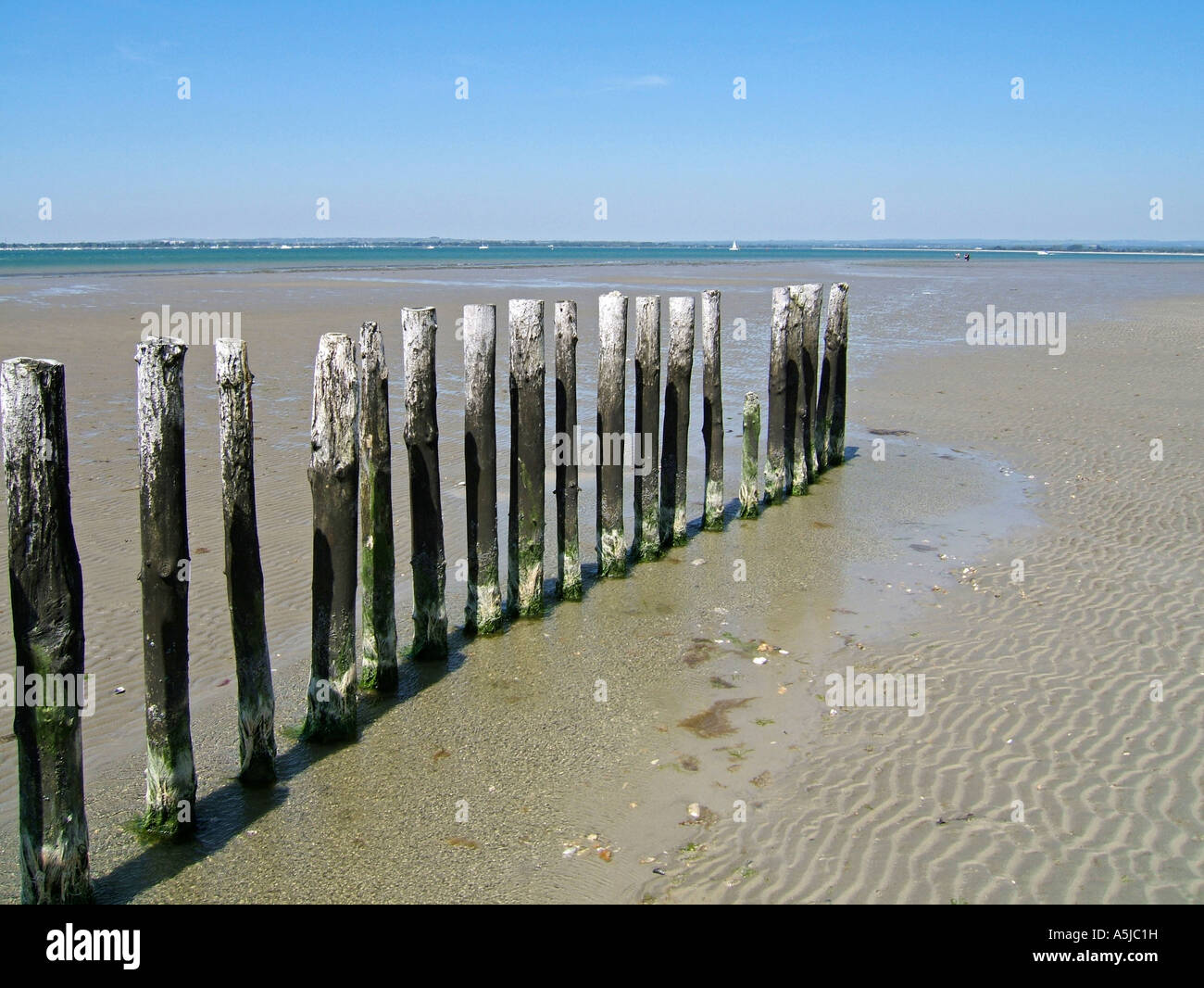 Poteaux de bois sur West Wittering beach, West Sussex, England, UK Banque D'Images