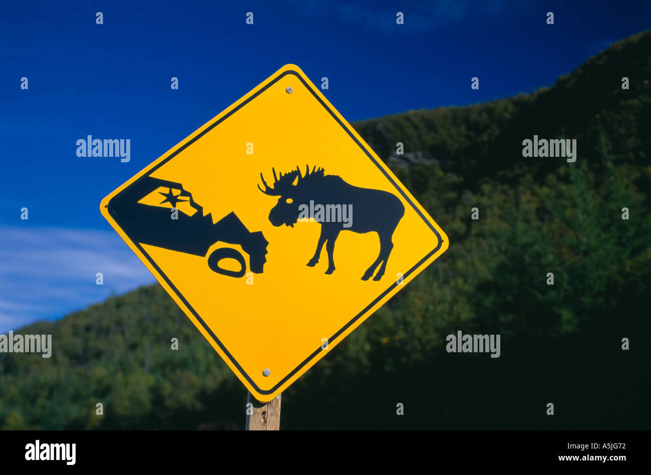 Moose Crossing Road Sign attention Gros Morne National Park Terre-Neuve Canada Banque D'Images