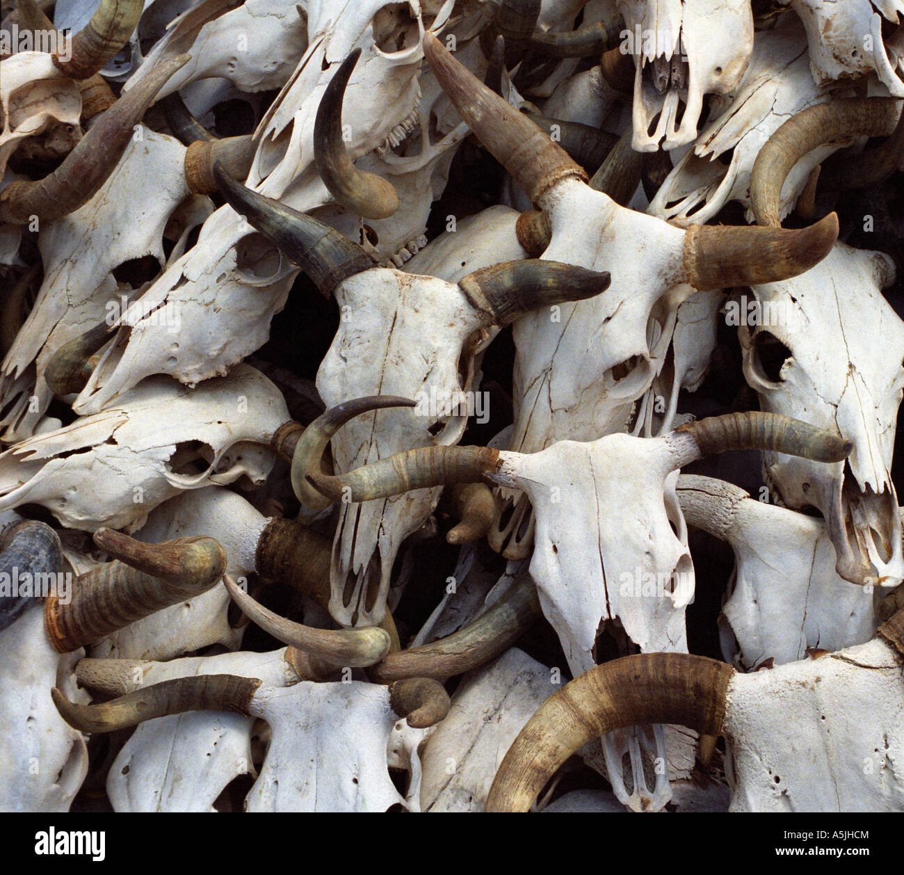 Nogales, Sonora, Mexique, Banque D'Images