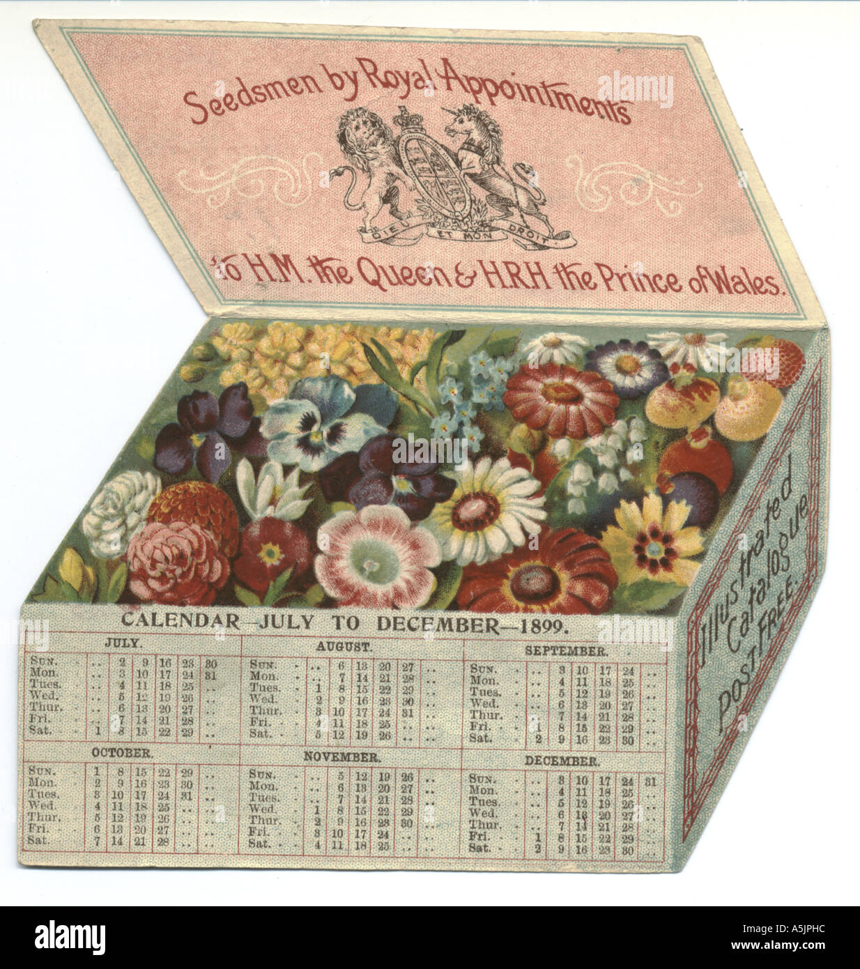 Publicité calendrier sous la forme d'une zone populaire de Webbs' 1899 et 1900 Gems Floral Banque D'Images