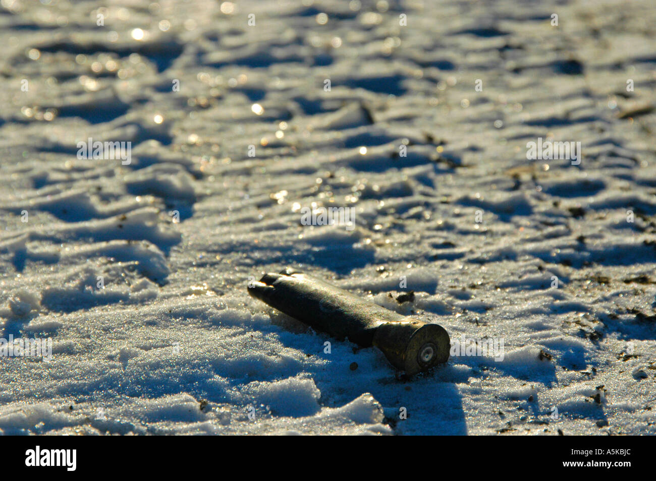 Un marché sur la grenaille de plomb shell dans la neige Banque D'Images