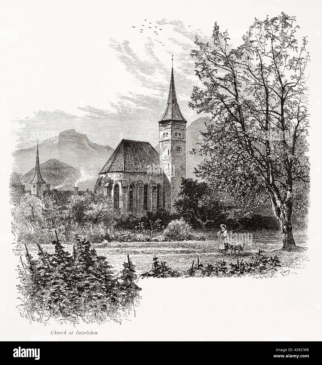 Interlaken Canton de Berne Oberland bernois Suisse Suisse Suisse Helvetia alp alpine valley tree Christian montagne tour de l'horloge Banque D'Images