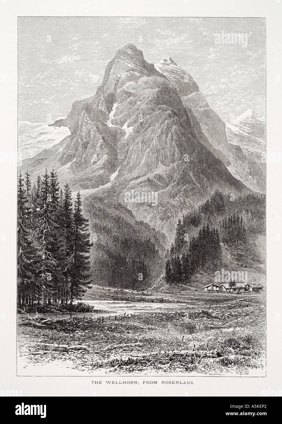 Wellhorn rosenlaui wetterhorn Swiss Switzerland Suisse Helvetia alp alpine valley alpage chalet des arbres forestiers jagged ste Banque D'Images