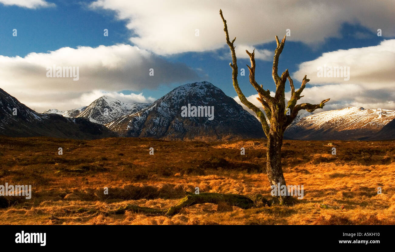 Rannoch Moor & Glencoe, Highlands, Écosse, Royaume-Uni Banque D'Images