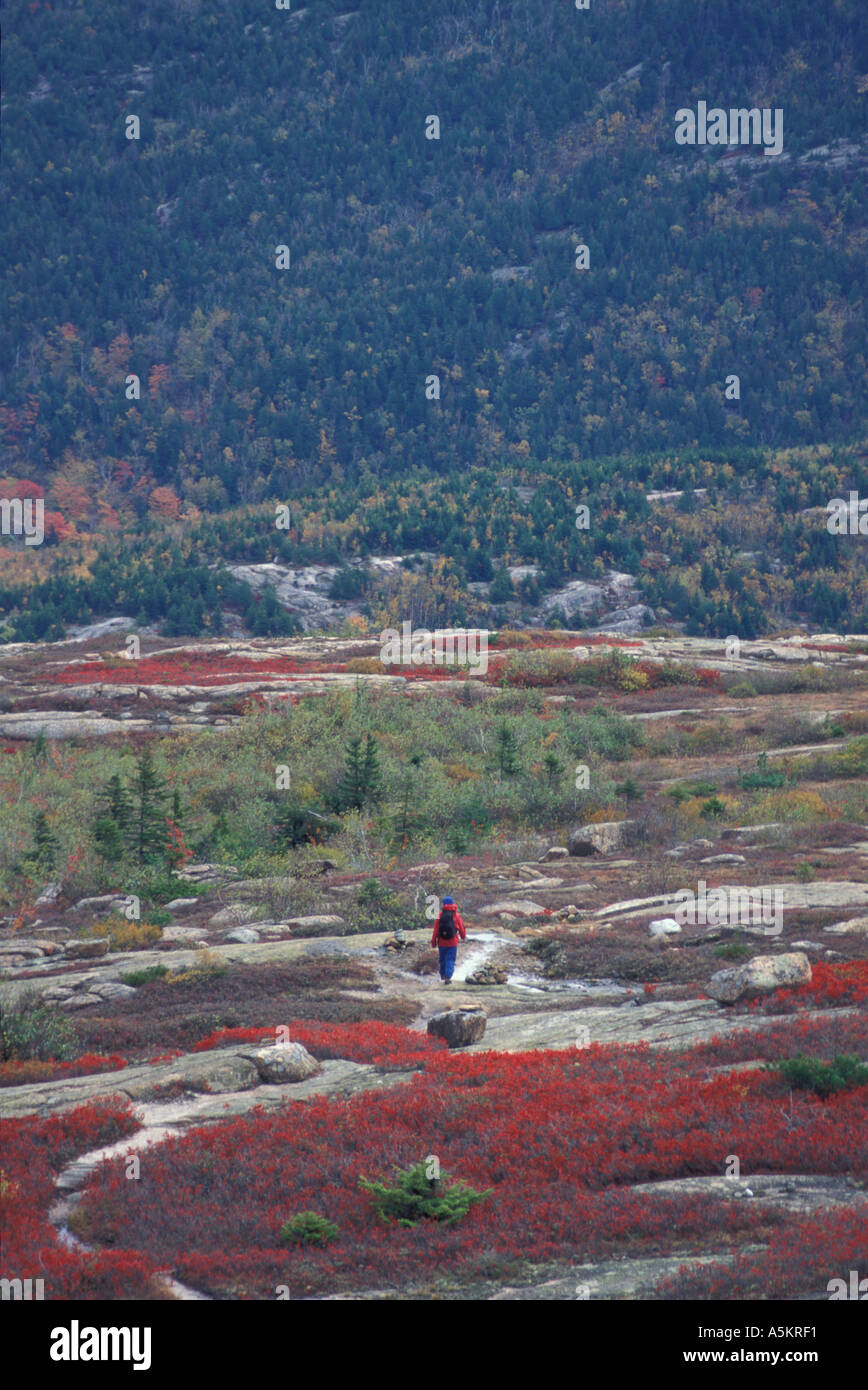 L'Acadie N P moi la randonnée sur la montagne de Sargent feuillage d'automne Banque D'Images