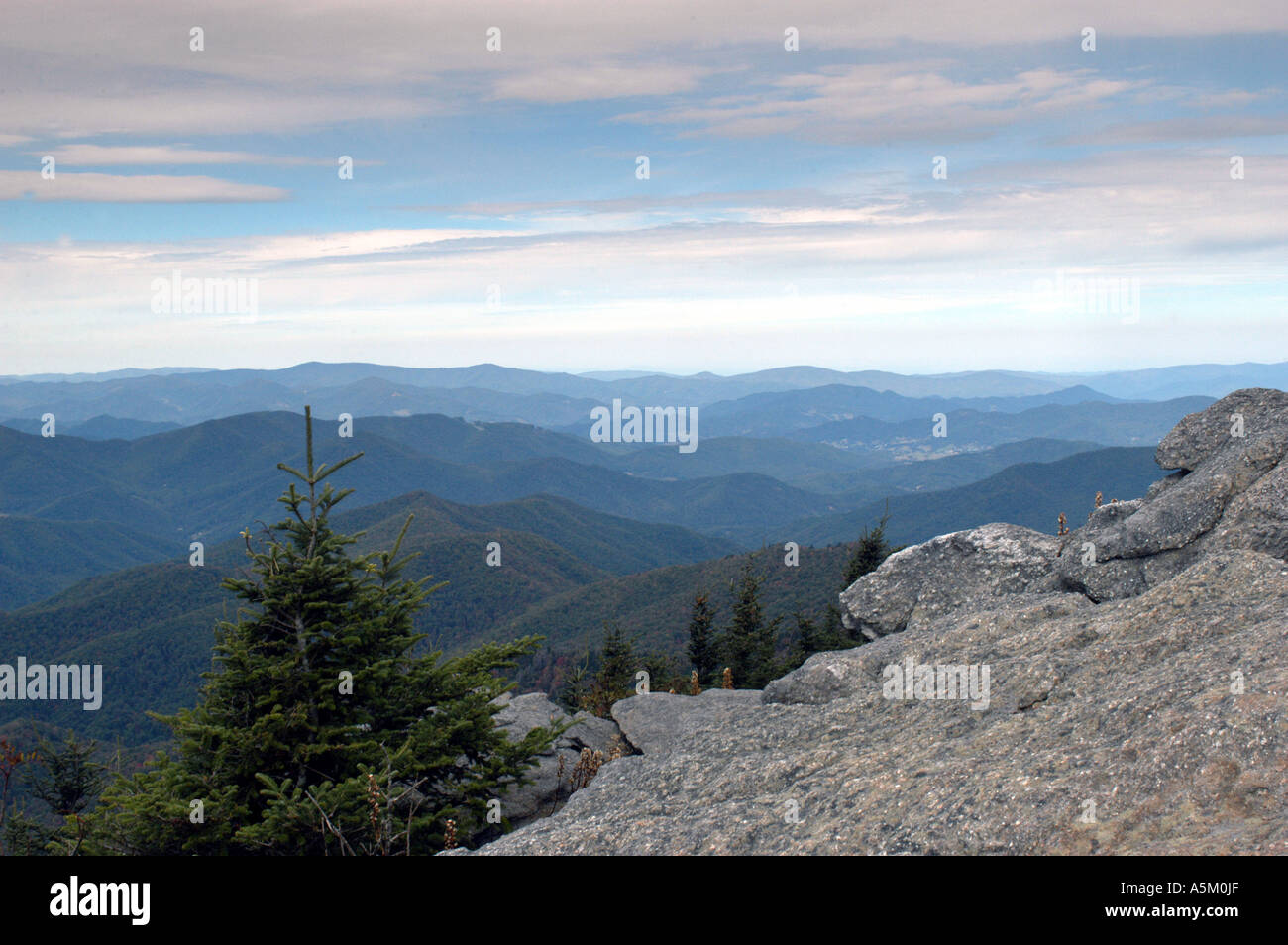 La magnifique vue depuis le sentier de randonnée au sommet du mont Tom en Mt Mitchell State Park sur le Blue Ridge Parkway Banque D'Images