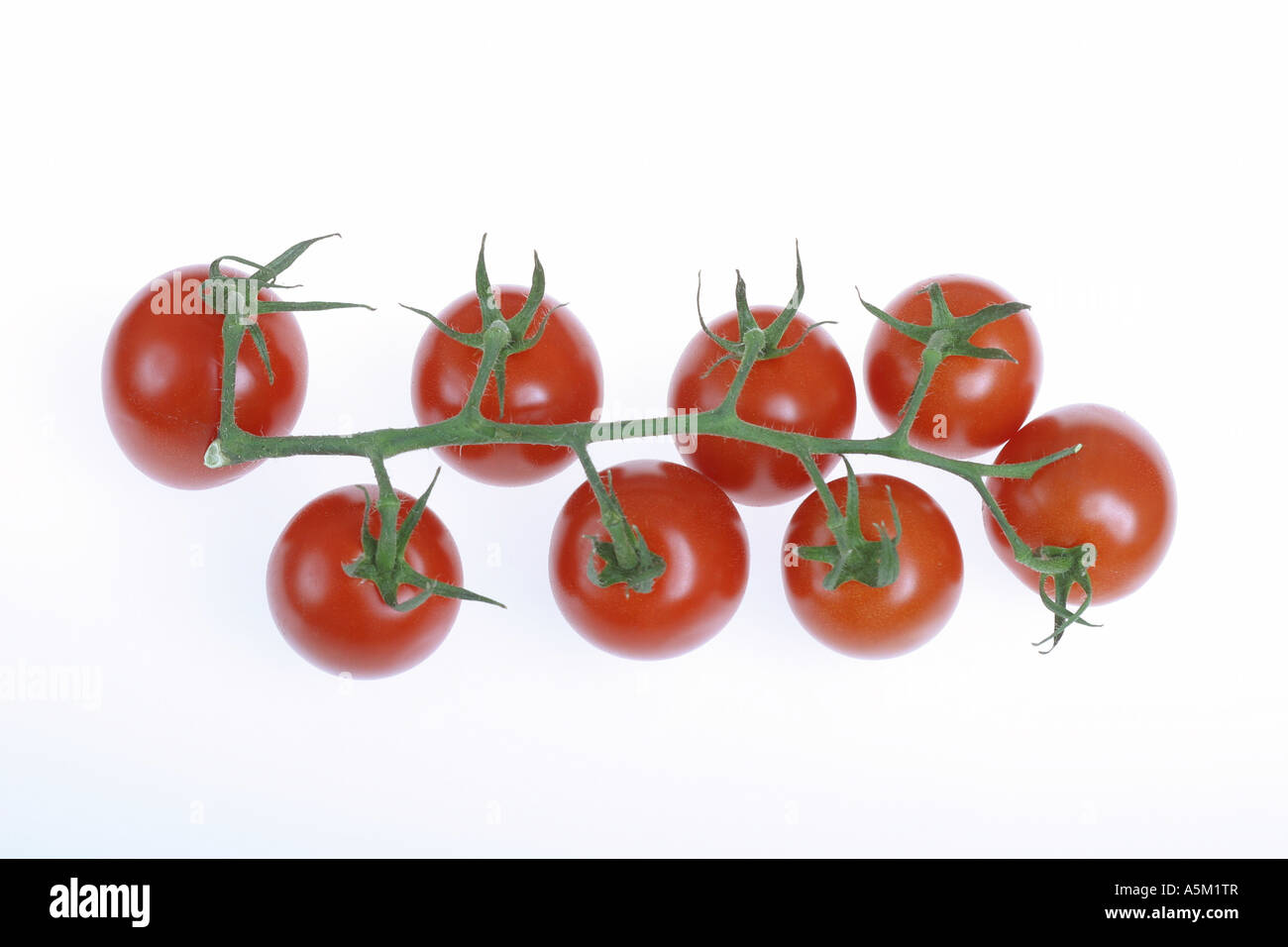 Les tomates de vigne sur fond blanc Banque D'Images
