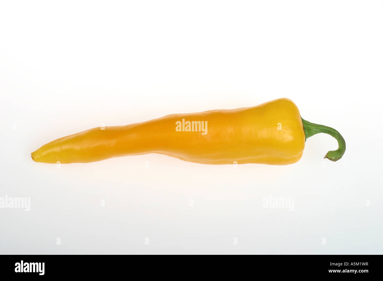 Piment jaune sur fond blanc Banque D'Images