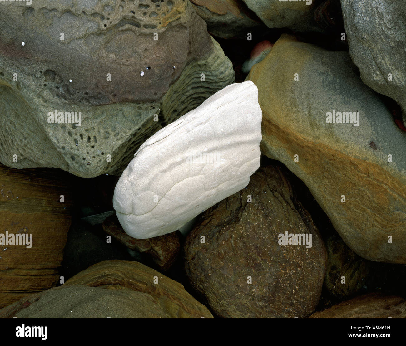 Rocher Blanc Bouddi National Park NSW Australie Banque D'Images