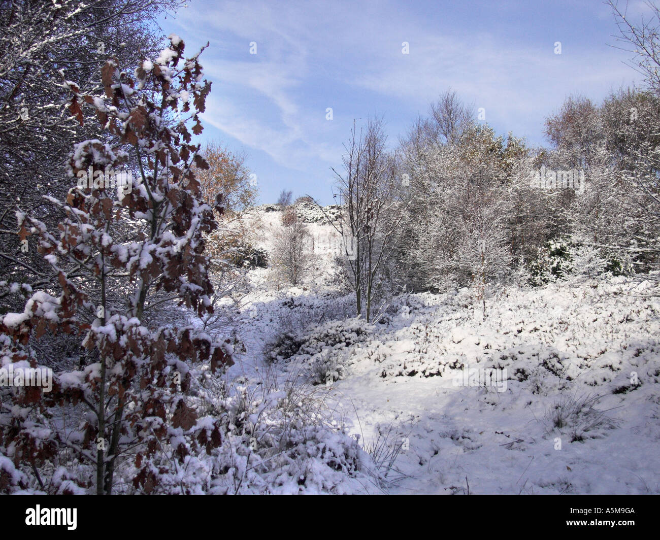 Matin sur la neige, Parc Campagne Parkhall Stoke-On-Trent, Staffordshire. Banque D'Images