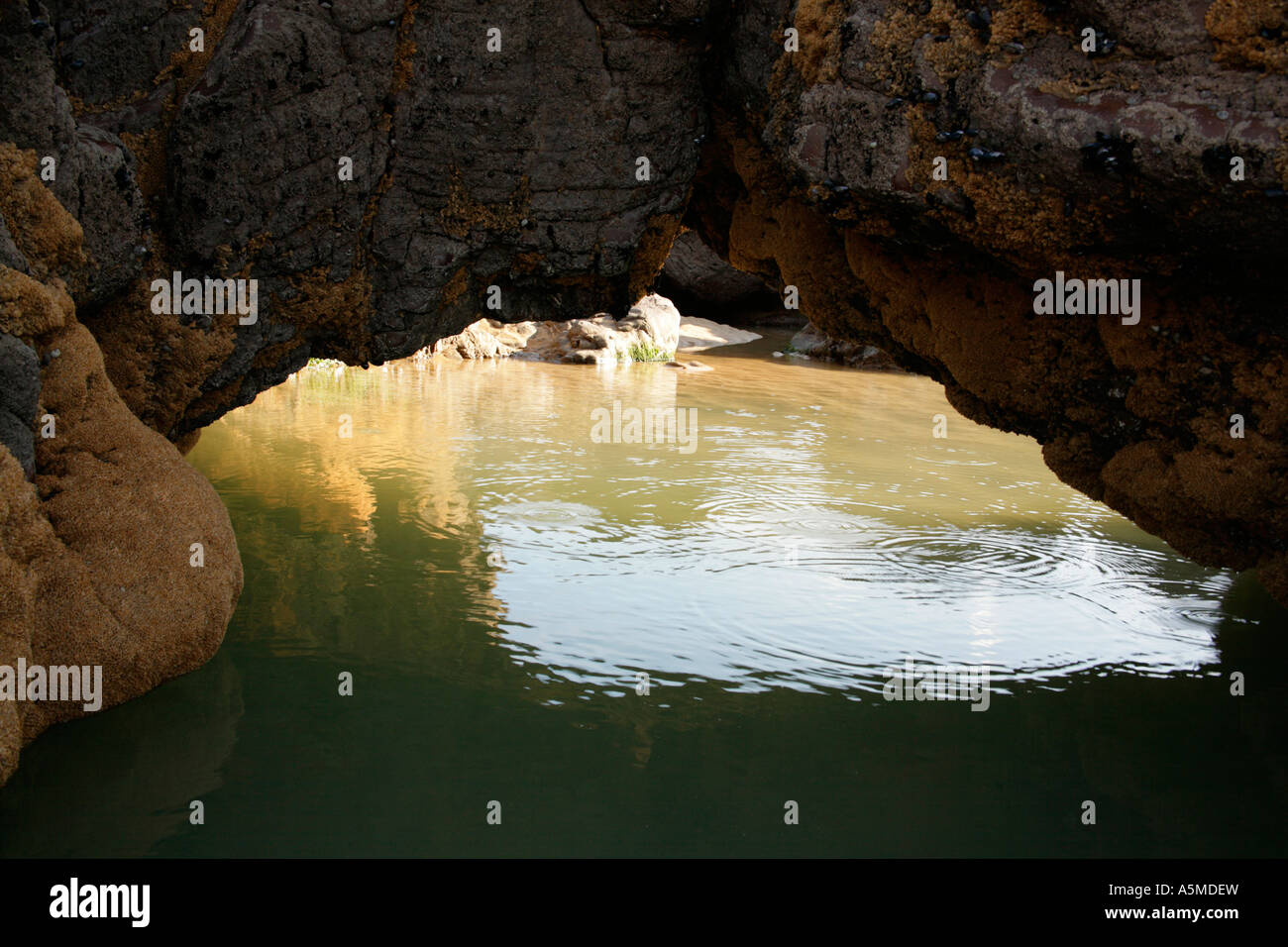 Bude, Cornwall grotte front ouvrant dans rockpool au-delà. Banque D'Images