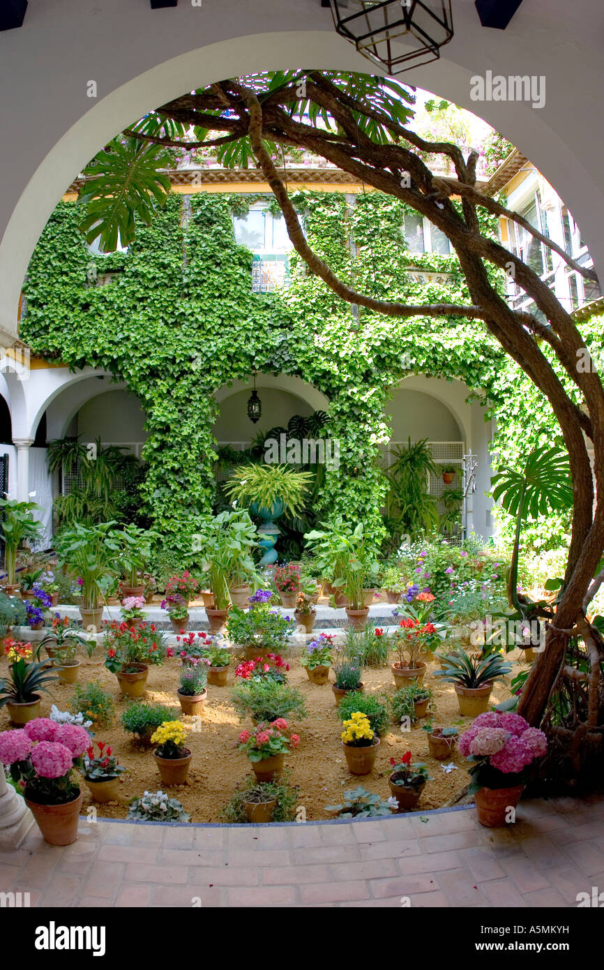 Un allié espagnol et jardin à Séville Banque D'Images