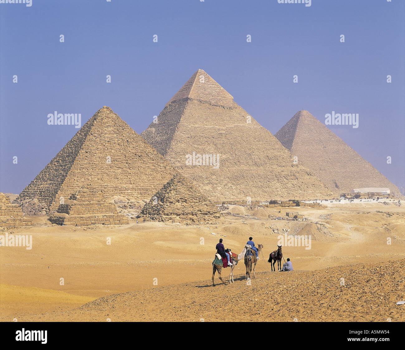 Promenades en chameau à Giza pyramids cairo Egypt Banque D'Images