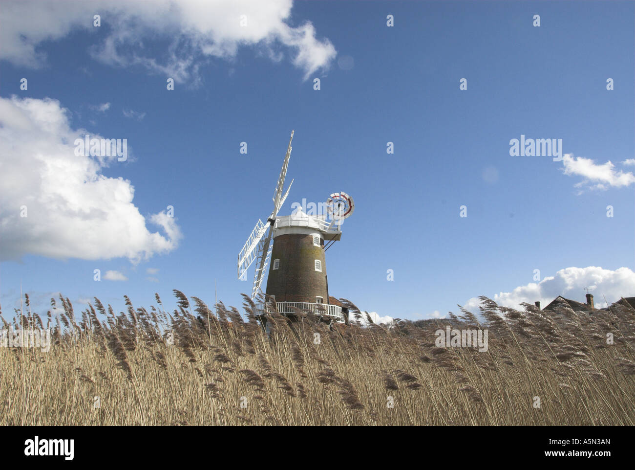 Vue sur le CLAJ Mill avec ciel bleu et roseaux en premier plan Banque D'Images
